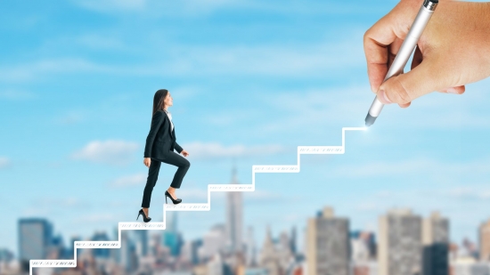 Sistema de Evaluacin del Desempeo y Desarrollo